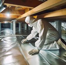 Discover The Best Crawl Space Experts Near You