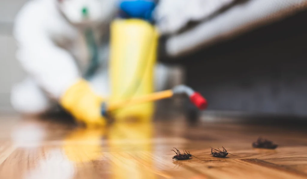 How To Control Pests: A Diy Tutorial