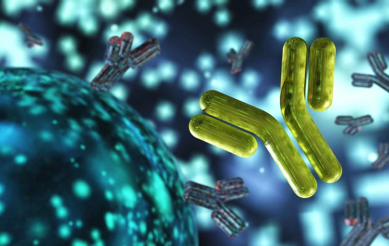 Guide To Making Custom Monoclonal Antibodies: How-To